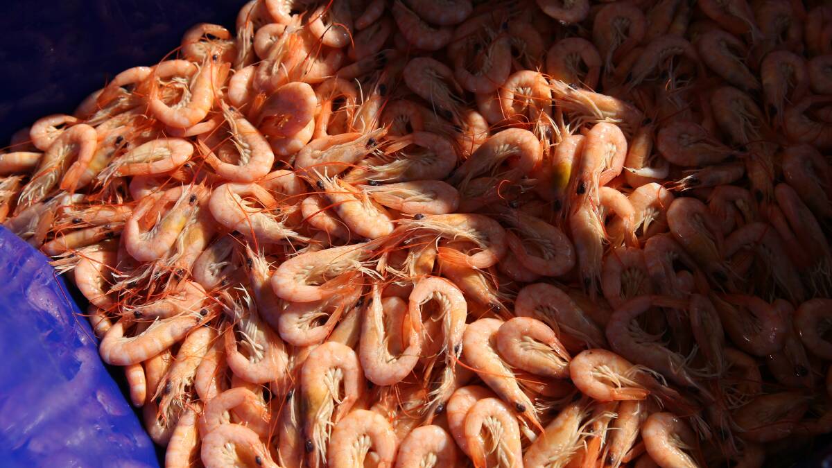 Joyce announces suspension on green prawn imports