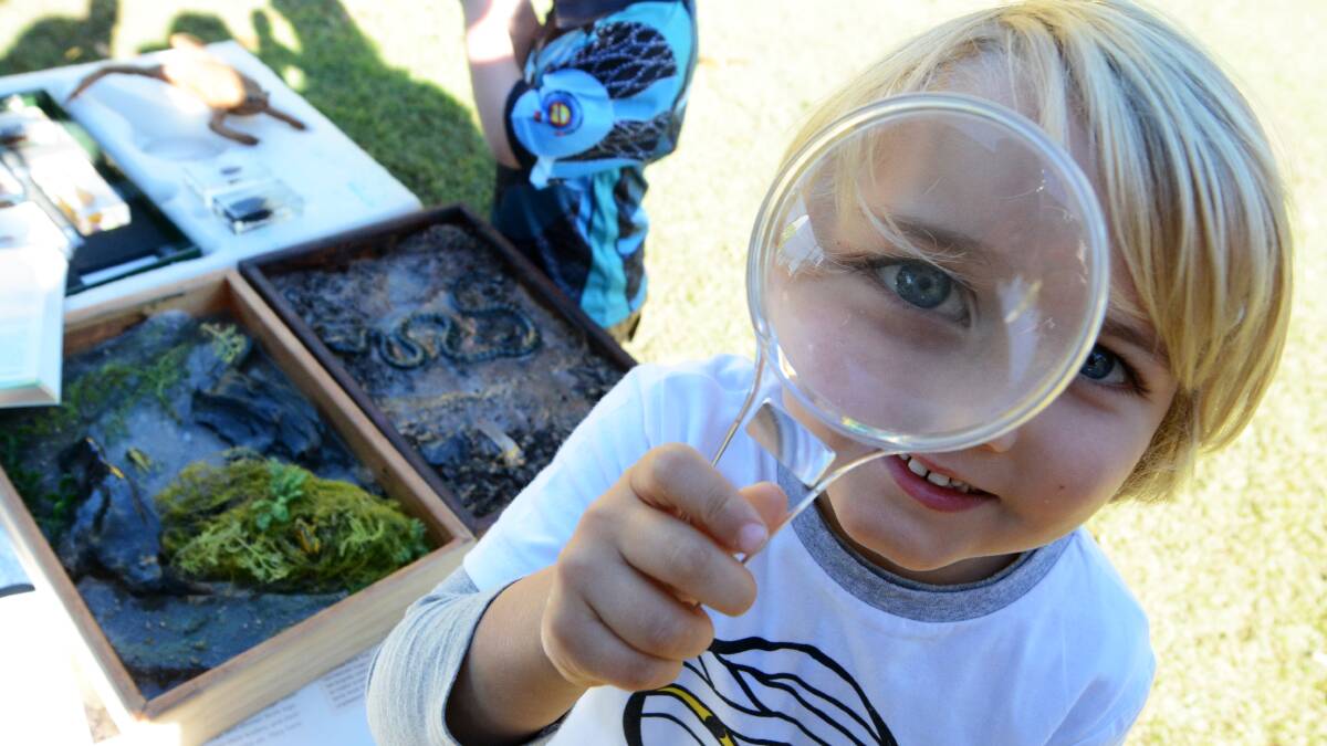 For all the family: Enjoy innovative market stalls and be inspired to live with a minimal environmental footprint at the 27th Envirofair at Taree Park.