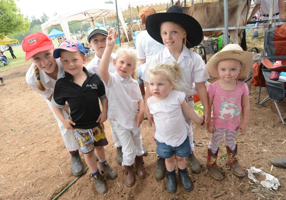 Judge for yourself: Showgoers can expect three days of family friendly fun at the 139th annual Taree Show at Taree Showgrounds next week.