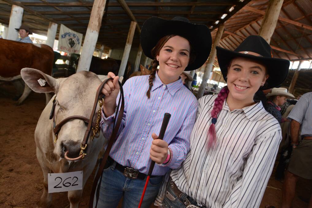 The character-filled Wingham Showgrounds will come to life for the 133rd Wingham Annual Show. 