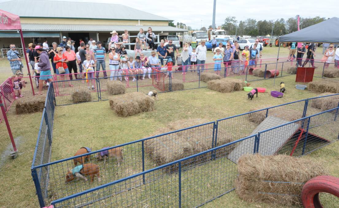 Racing action in 2016 at the Taree Show.