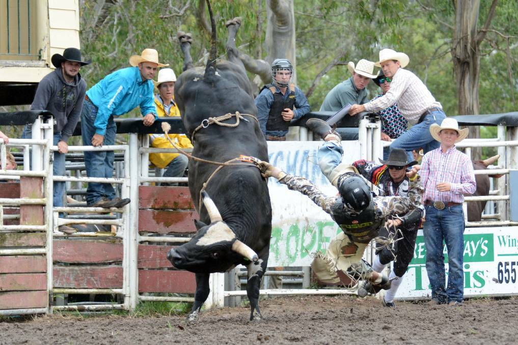 Wingham bull rider Braedyn Cameron at a previous Wingham Summertime Rodeo.