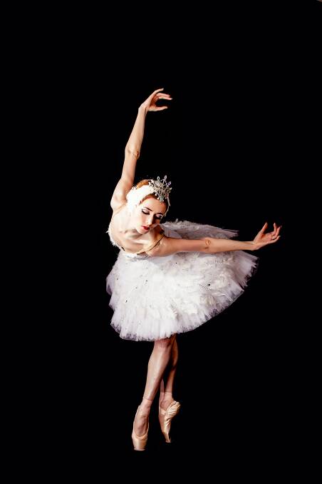 The Dying Swan