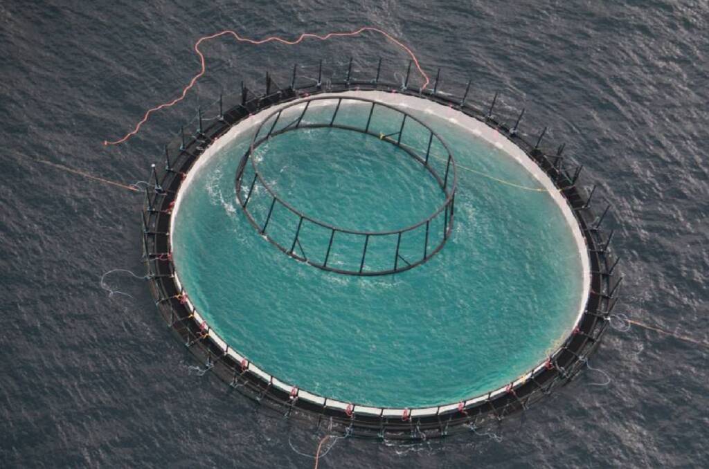 DESTROYED: A file picture of one of the "fortress pen" sea cages located seven kilometres off the coast of Hawks Nest used to hold 20,000 kingfish each as part of an aquaculture research trail. Picture: Sam Norris