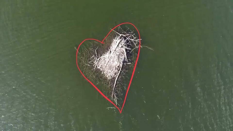 Linda Martin acted to get creative and marked up a photo from the Phil Davies Aerial Photography video to reveal the Heart of the Manning.