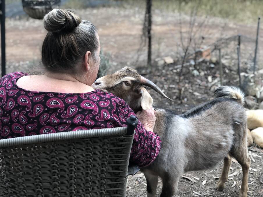 Elysia reveals her intimate experience of homelessness in the Manning Valley, and hopes it will increase community awareness and empathy for people living in vulnerable situations. Brian is her pet goat, a former "feral, uncontrollable and unwanted animal who just needed time and the right person to bring him round." Photo: Ainslee Dennis.