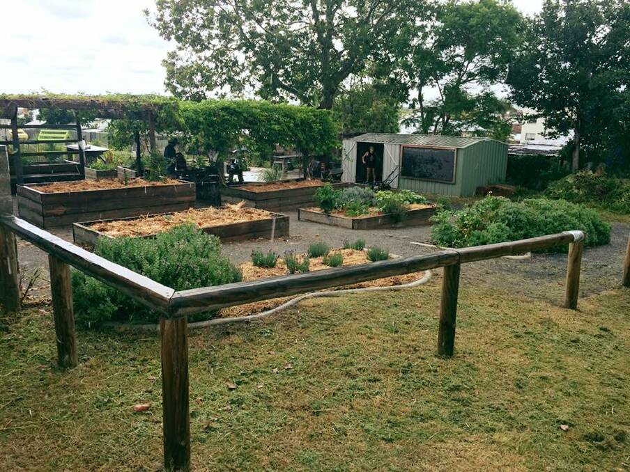 The thriving Taree Community Garden must be demolished to enable construction access for the Taree Police Station makeover.