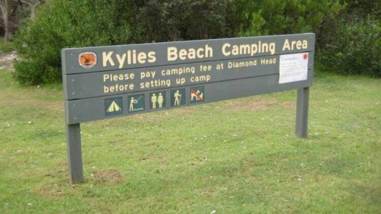 Weed warriors needed for the battle to beat bitou at Kylies Beach