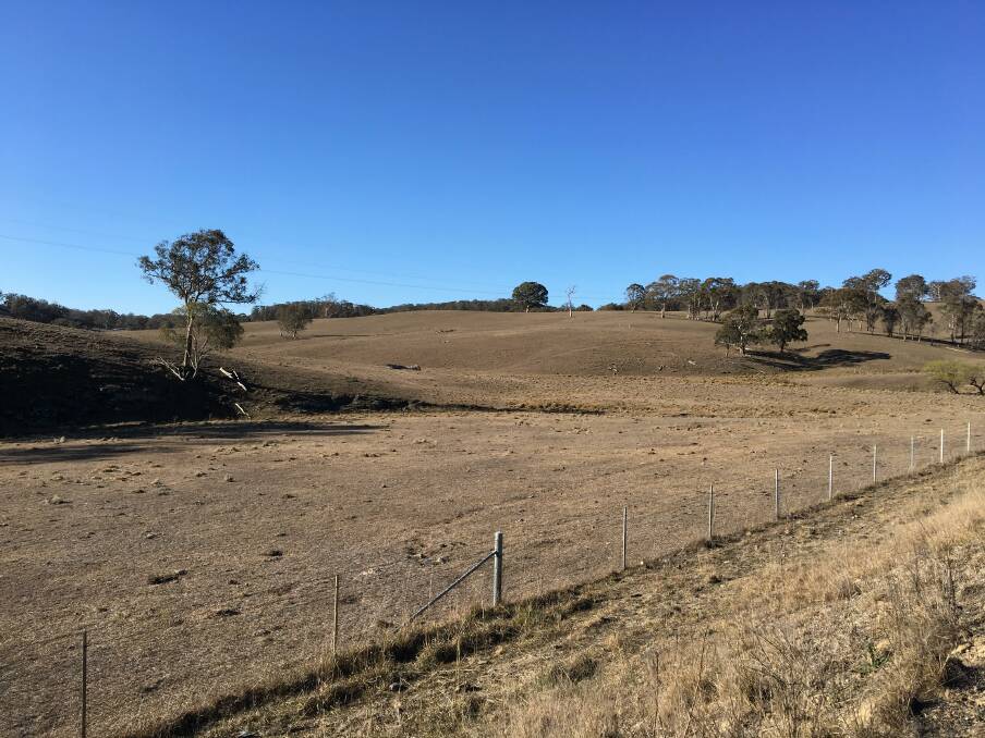 Hillgrove on the New England tablelands, August 2019