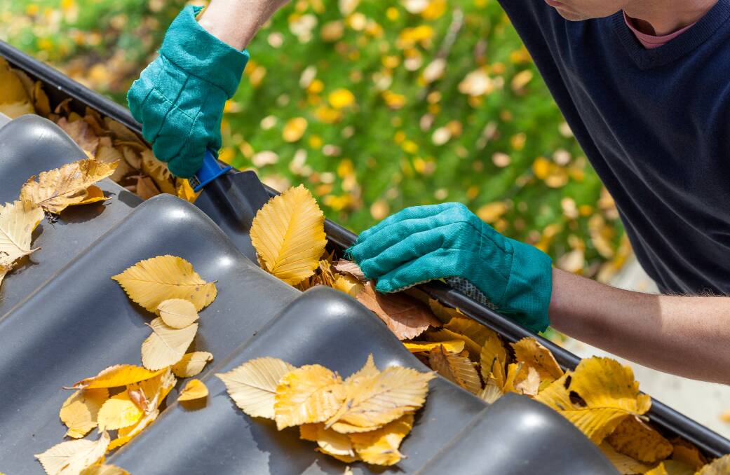 Poor gutter maintenance can have a the long term impact of moisture getting under the roof and into internal walls. Picture: Shutterstock.