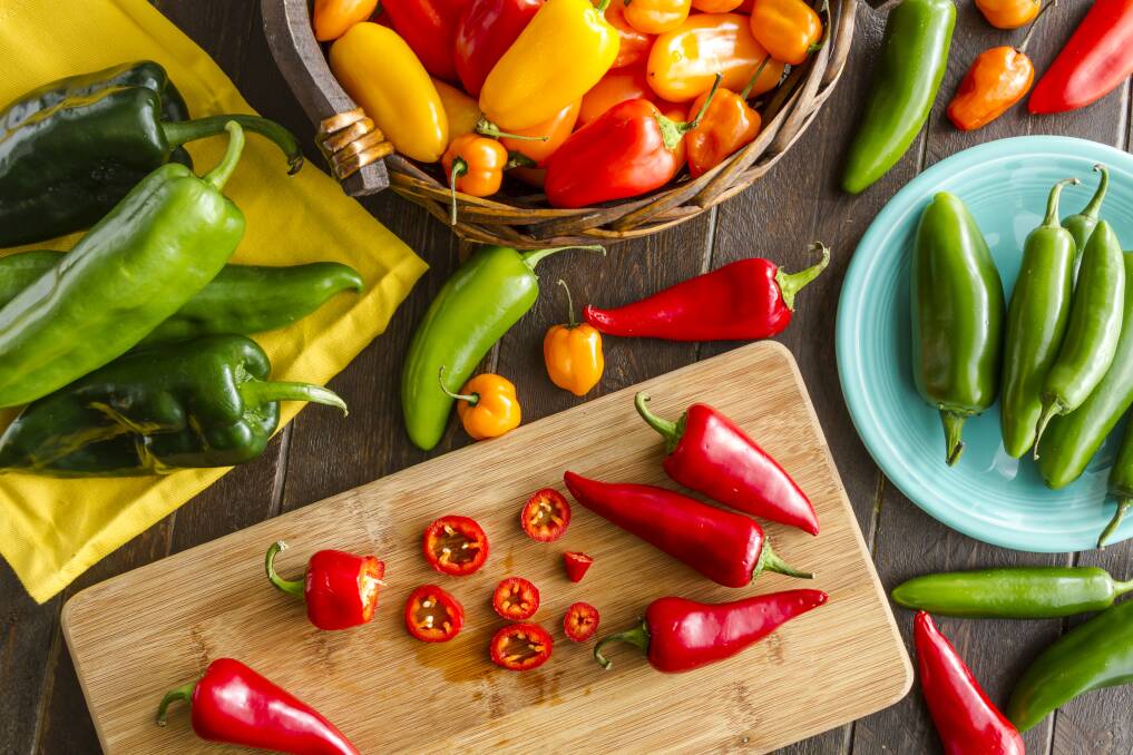 Chillies and capsicum are among the popular vegetables of the nightshade family. Picture: Shutterstock.