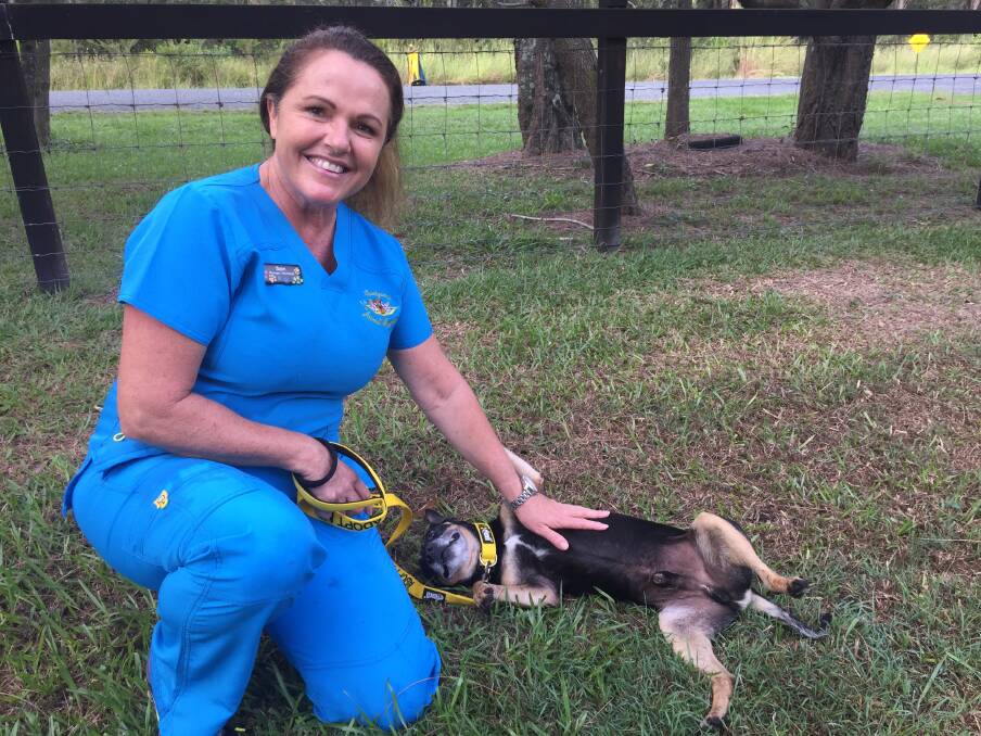 Sweetpea veterinary nurse Samantha Blake with rescue dog Clyde.