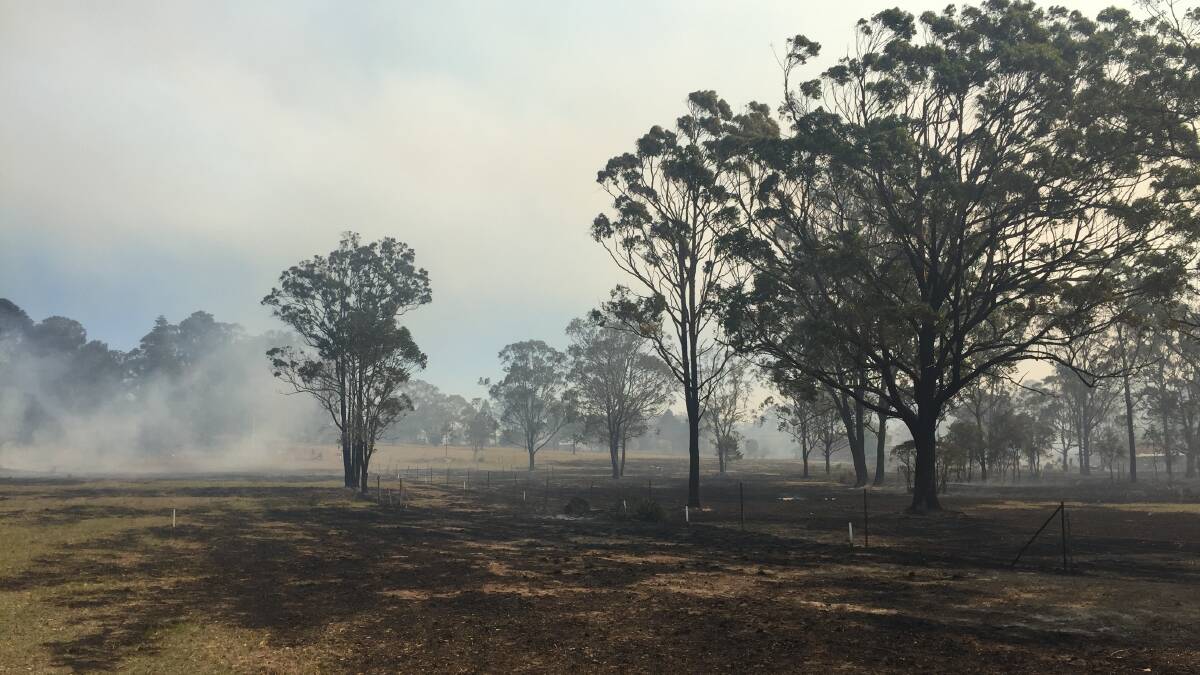 The fire has burned northwards through paddocks and open bushland in Old Bar.