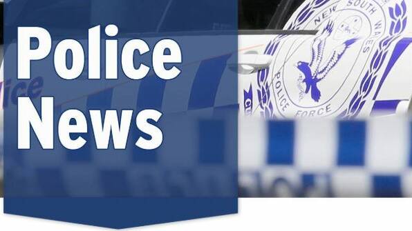 Man attacks female police officer following domestic incident in Harrington