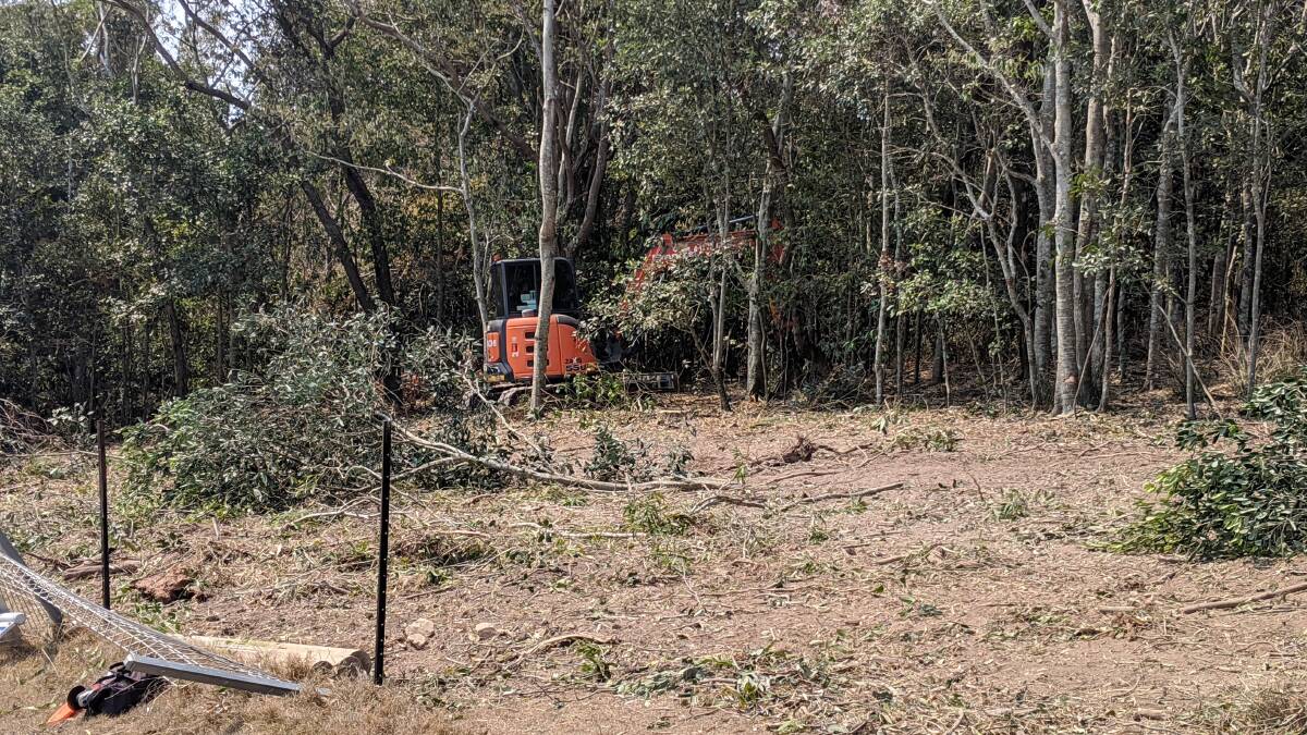 A contractor clearing protected rainforest next to Black Head Bowling Club. Photo supplied.