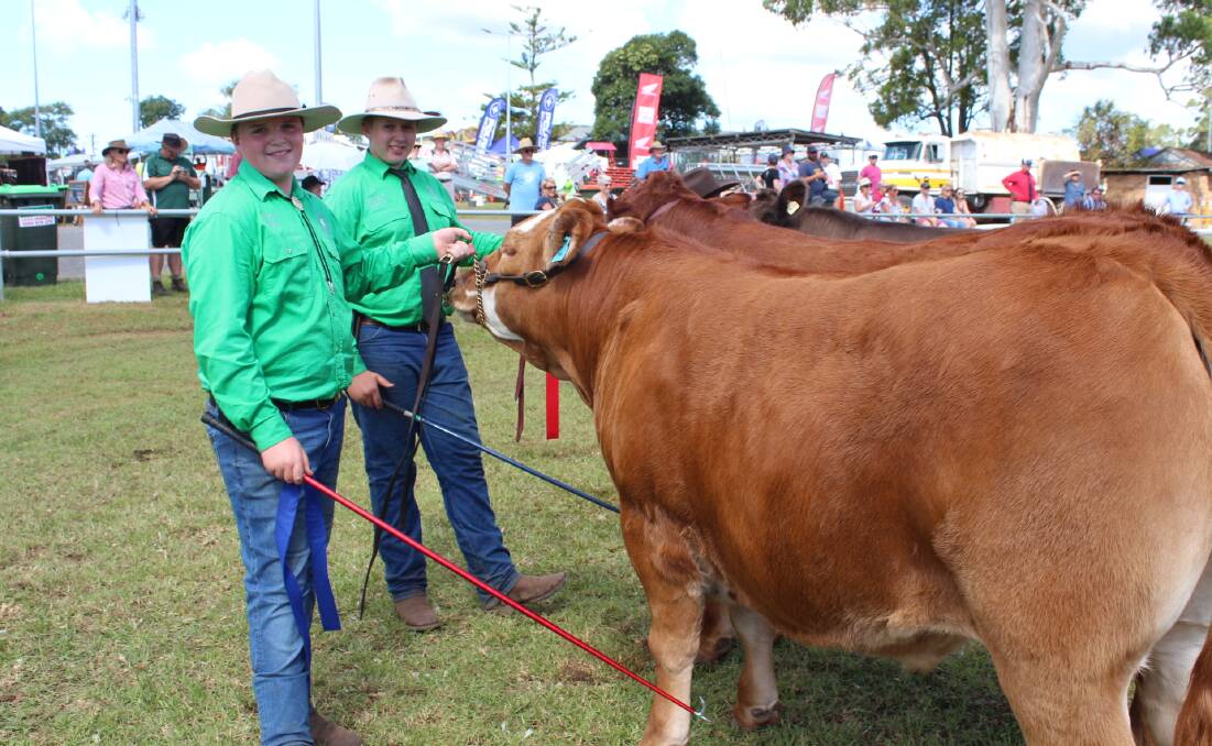 School championship winners in the beef cattle competition went to Tom Tynan and Logan Marsden of Chatham High School. Photo credit Tracey Fairhurst Port Macquarie News