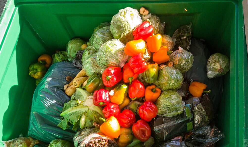 Collectively we waste around 7.3 million tonnes of food each year, which equates to roughly 300 kilograms per person. Picture: Shutterstock