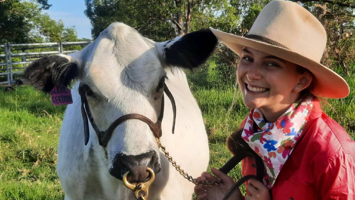 Makayla Saunders with one of her British white heifers. Photo supplied