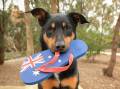 We don't wear cheap Aussie Day thongs, shirts or hats anyway, says Mick McDonald. Picture Shutterstock.