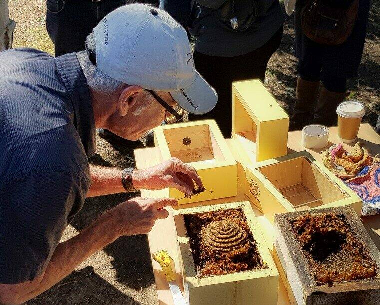 Presenting: Dr Tim Heard at a native bee hive. Photo: Sugarbag Bees