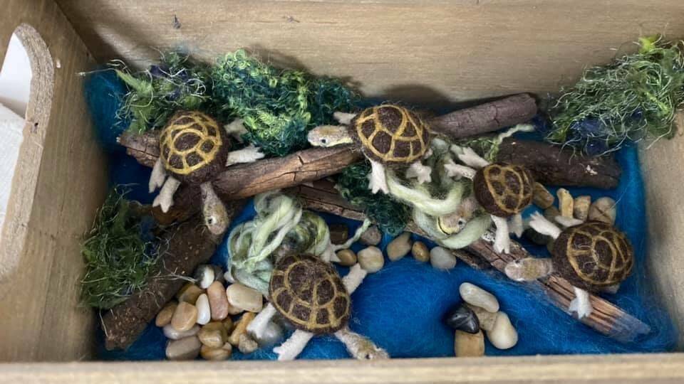 In their habitat: Learn how to make needle felted Manning River helmeted turtle hatchlings just like these, by local fibre artist Gemma Cross. Photo: supplied