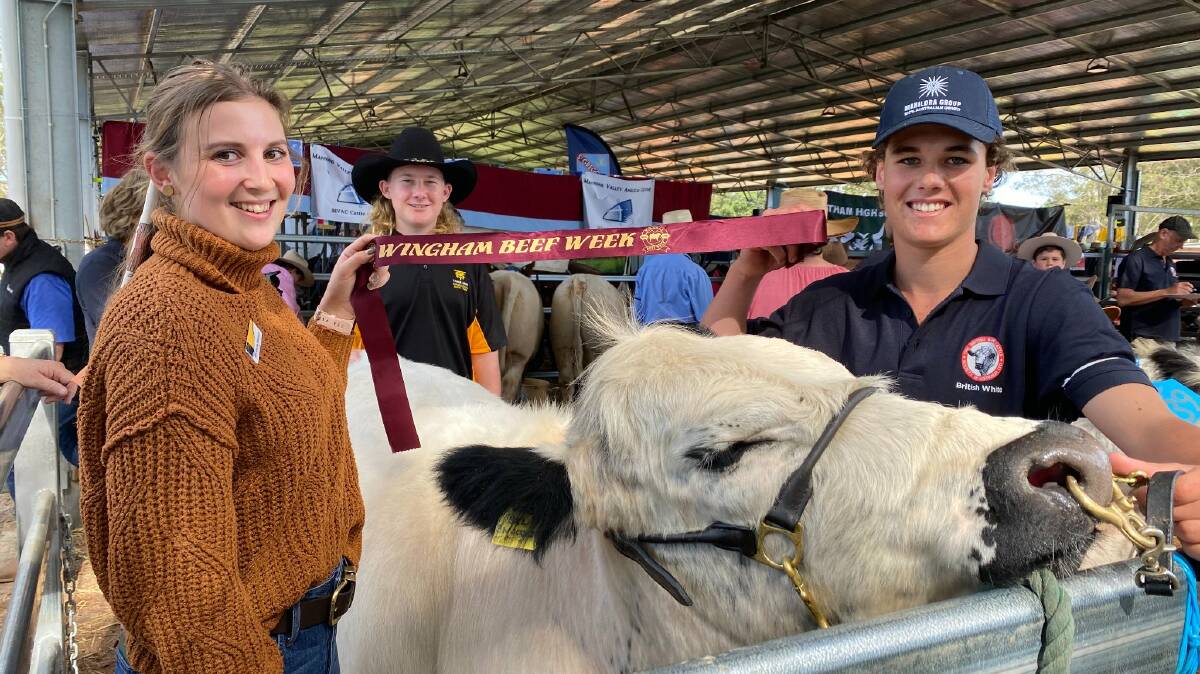 Ag teacher Sienna Anderson, Rory Murray and Marcus Smith of Taree High School with the British white steer donated to them for the School Steer competition. Photo supplied