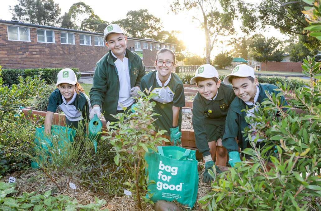 Students from Condell Park School at work on their Woolworths Junior Landcare Grant project. Photo: supplied