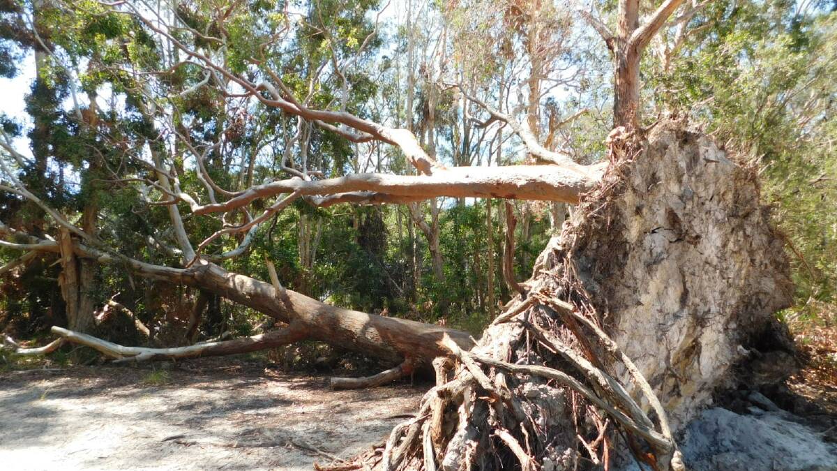 Foreshore: Amaroo Drive Smiths Lake, two days after the storm hit. Photo: supplied