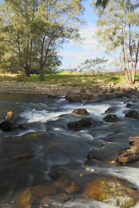 The health of the Manning River is vital for us all. Photo supplied