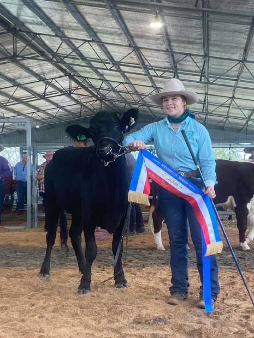 One of Bulang Park's champion Drakensbergers at the 2022 Wingham Show. Photo supplied