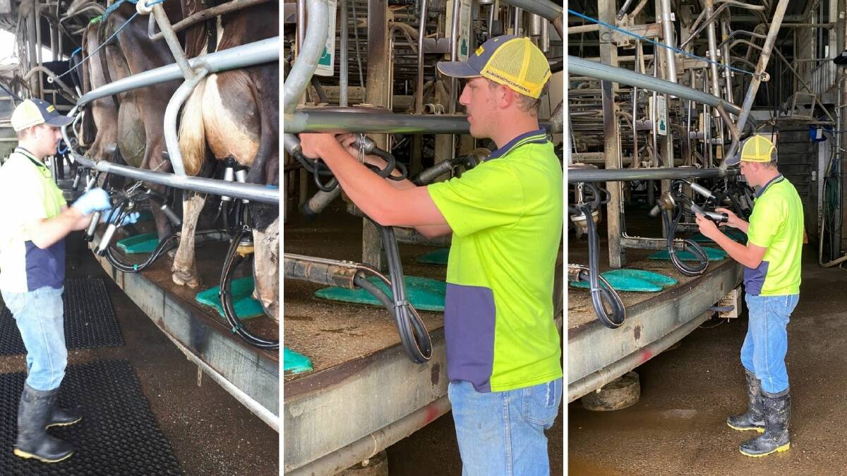 Work experience at dairy a kickstarter for agriculture career for Jaydon