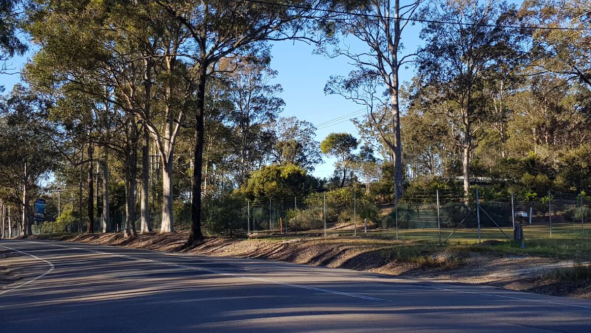 Trees are being removed near the Wingham Road and Cedar Party Road intersection. Photo: supplied