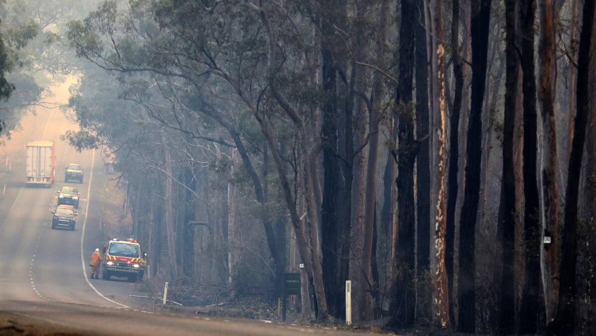 The Hillville Fire reached The Bucketts Way at Tinonee. Photo: Scott Calvin