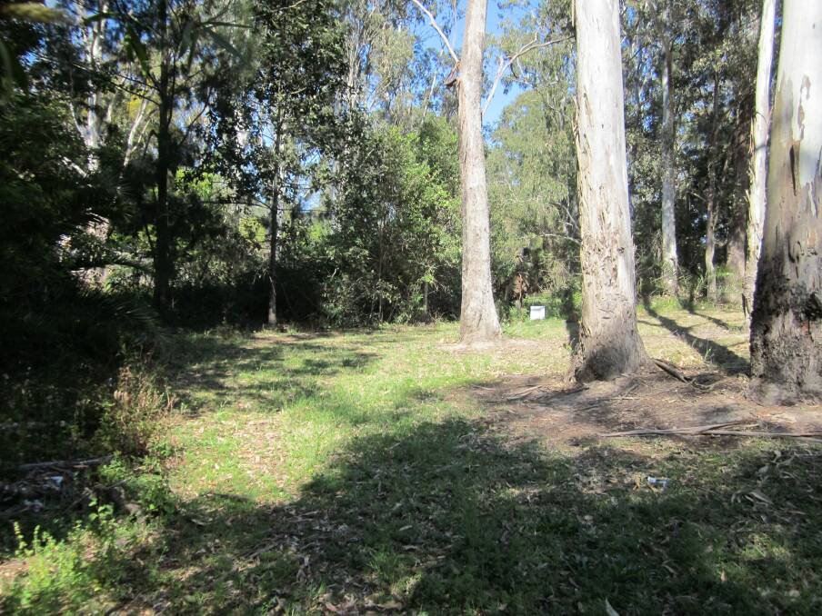 Browns Creek is getting a makeover, thanks to Manning Landcare and Taree Scouts. Photo: supplied