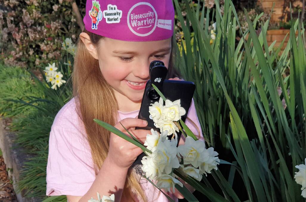 Biosecurity Warrior Alexis Coffey-Bailey explores her backyard with a magnifying macro lens from the free NSW DPI plant health and biosecurity activity pack. Photo supplied