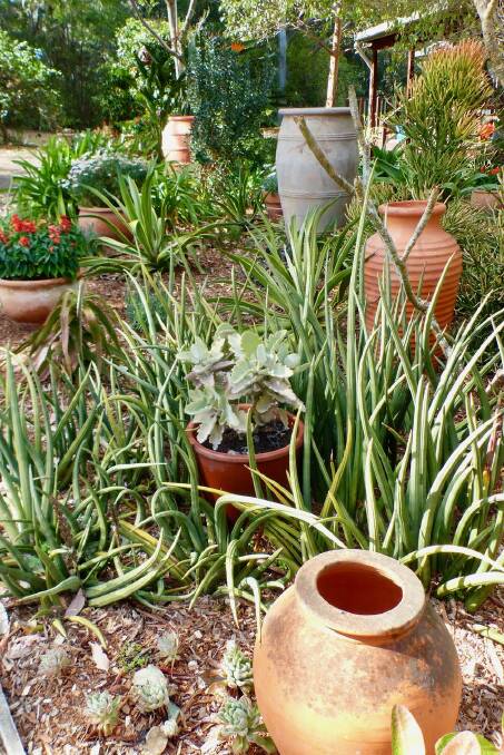 Pots and urns add height, texture and year round interest to the garden.