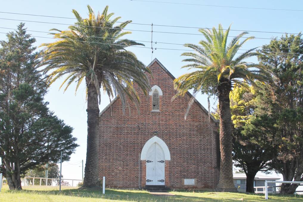 John Knox Free Presbyterian Church and the 90 year old palm trees that stand on guard at the front entrance facing Manchester Street, Tinonee. Photo Pam Muxlow