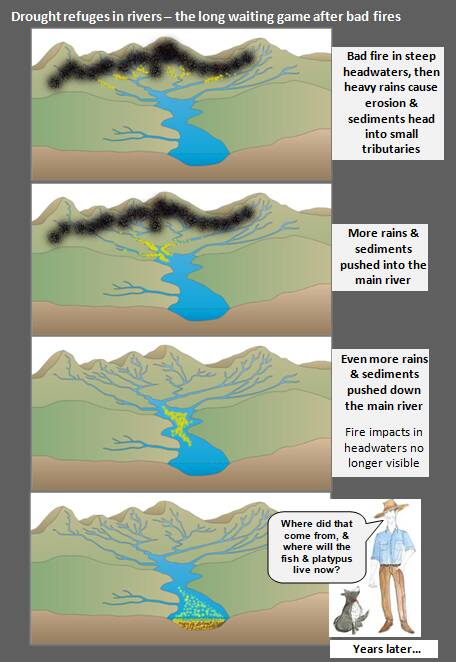 Sedimentation bought about by extreme events is changing our river systems
