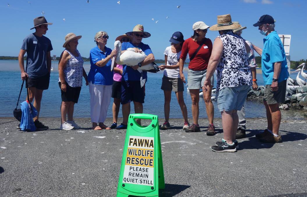 Nineteen FAWNA volunteers underwent seabird rescue training at Tuncurry. Picture: supplied