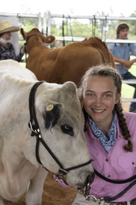 The heifer that started it all: Quinn, one of the Chatham High School herd of British whites, started Makayla on her love for the breed. Photo: supplied