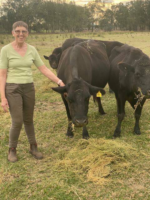 Kerry MacAulay with some of her black angus cattle on her property at Mitchells Island. Photo supplied