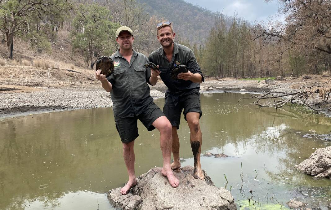 Aussie Ark president Tim Faulkner and Dan Rumsey from the Australian Reptile Park have collected the first wild Manning River turtles for their insurance population. Photo courtesy Aussie Ark