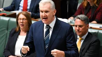 Employment Minister Tony Burke maintains industry groups have been consulted on workplace changes. (Lukas Coch/AAP PHOTOS)