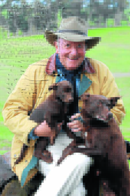 Dr Harry Cooper OAM, pictured over the weekend at the Australian Kelpie Muster in Casterton, Victoria. Photo by Susan Sheeran.