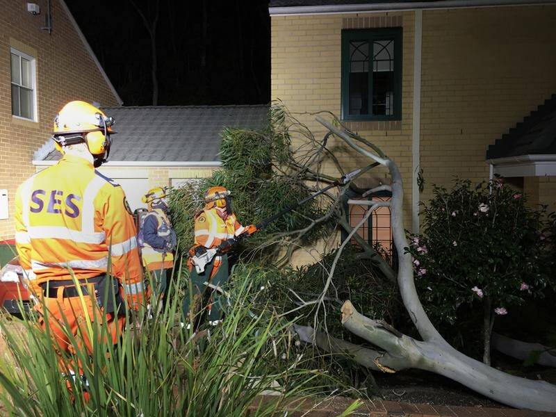 The SES received hundred of help requests for fallen trees and roof damage as strong winds hit NSW.