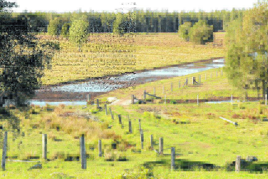 Greater Taree City Council's 'Big Swamp Project' unveiled