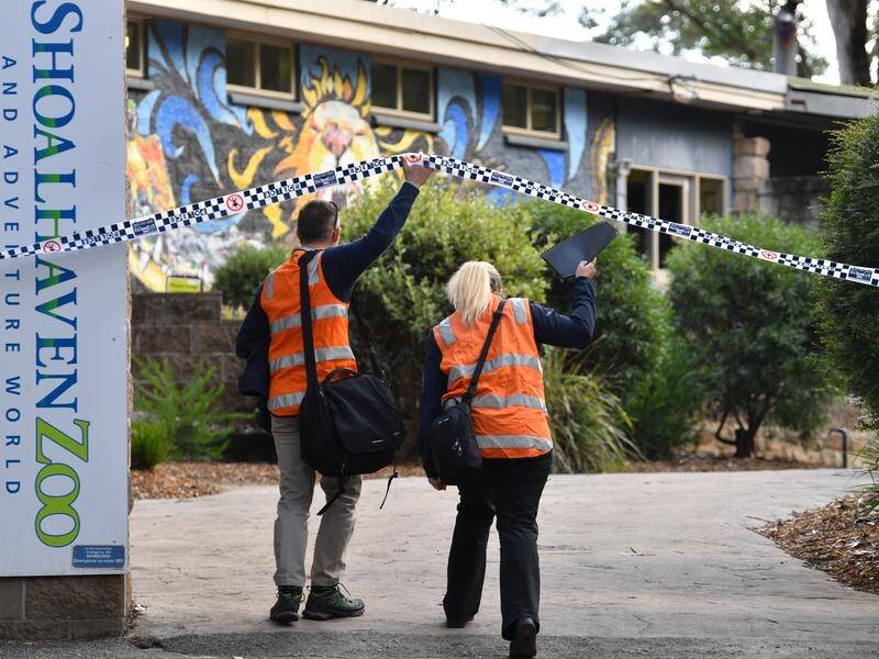 A SafeWork NSW investigation is under way into the attack on the zookeeper at Shoalhaven Zoo.