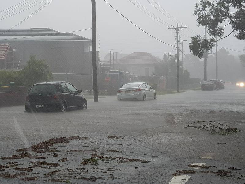 Thousands of homes in Sydney have had power restored after Friday's wild storms.