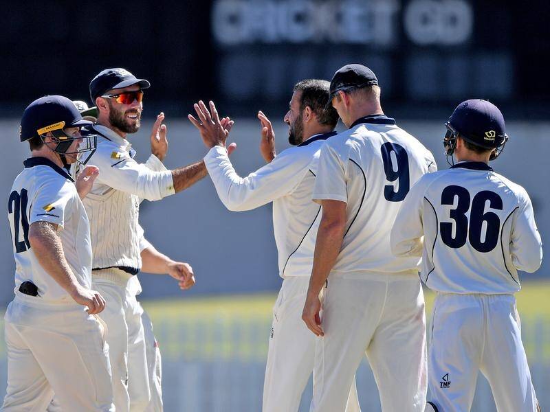 Victoria's Glenn Maxwell and Fawad Ahmed played key roles in their Shield win over NSW.