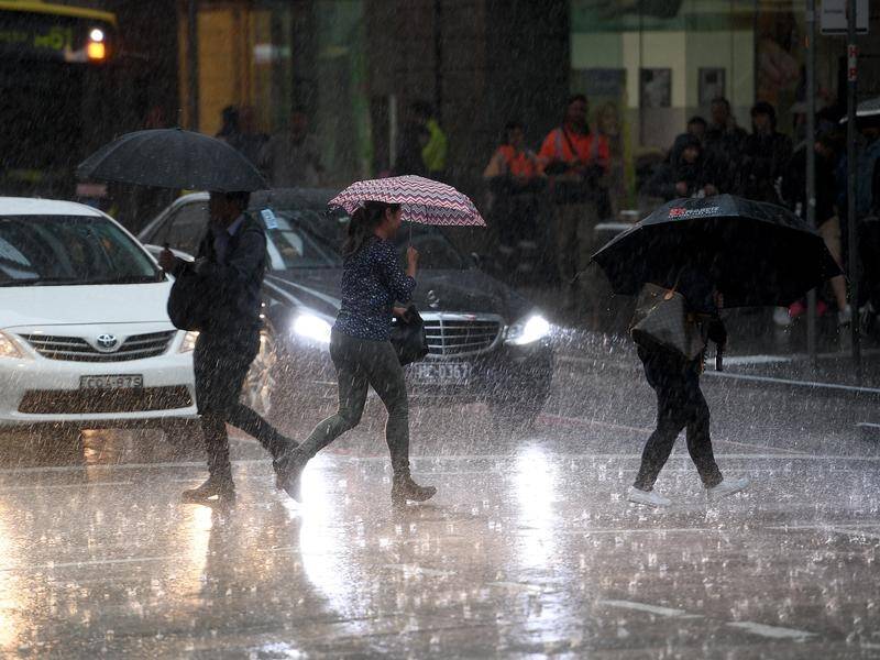 Sydney and parts of NSW are recovering from storms that brought damaging winds and hailstones.
